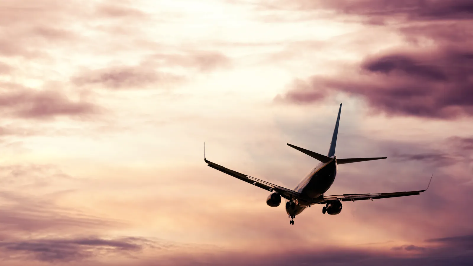 Business Flight Booking 